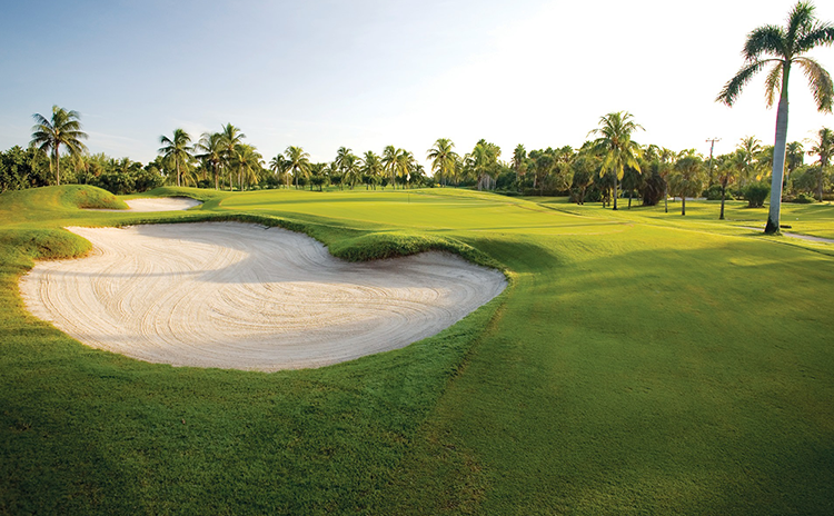 Bunker of golf course green